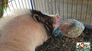 วันสบายๆน้องรวย😴😴😴