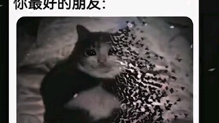 这个段落你看懂了什么