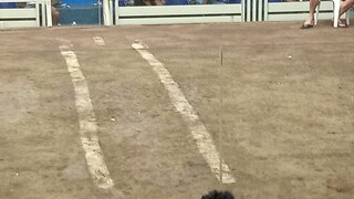 malas talaga