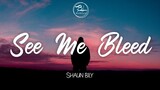 See Me Bleed - Shaun Bily ( Lyrics)