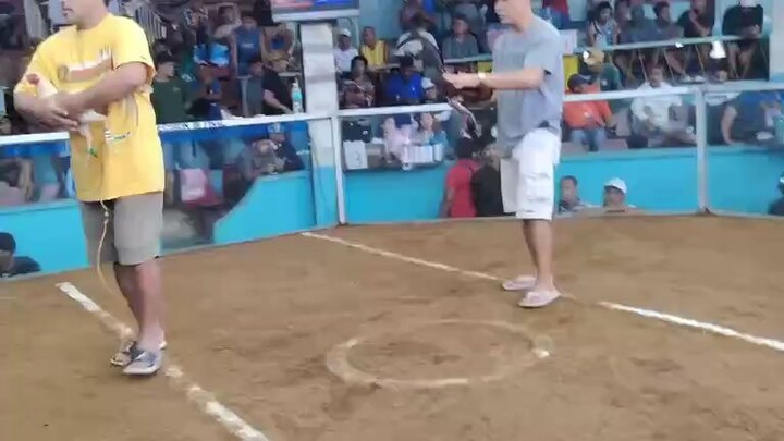 2 HITS BALINTAWAK LIPA CITY COCKPIT 1ST FIGHT WIN BLACK MANTRA OCT.14,2025 09472445508 RUEL M.OWNER