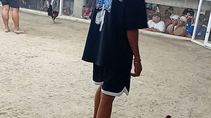 1 cock ulutan fastestkill. win