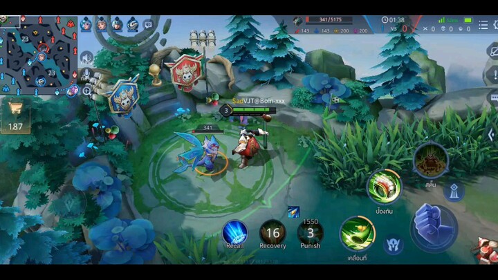 arena of valor
