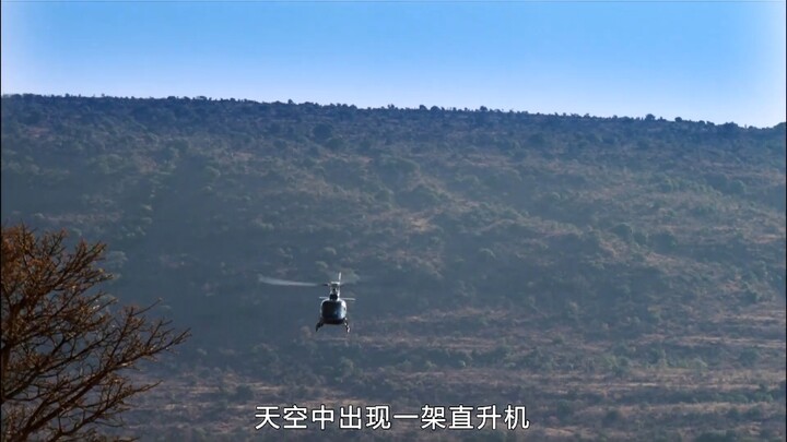 Boy Travels Across the South African Savanna with a Little Leopard Just to Return It Home 2