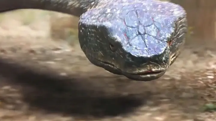 [Movie] Fantasy Movie Scene Of Huge Snake VS Human