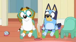 watch full Bluey S01-S02-S03 for free lin in discreption