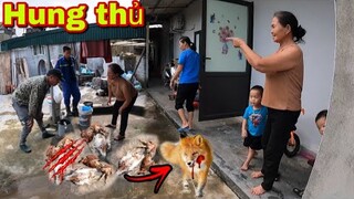 Cả Gia Đình Mất Trắng Đàn Gia Súc Sau 1 Đêm Và Vết Tích Còn Sót Lại Trên X.á.c C.h.ế.t !