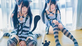 【Baby】ฅ ^•ω•^ ฅ猫猫条纹袜2.0？！小猫咪竖屏贴贴喵～～