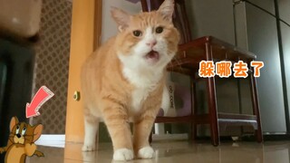 Tom and Jerry