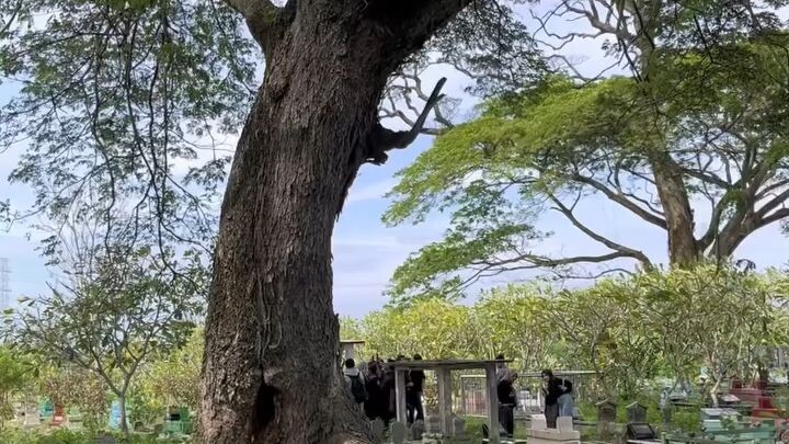 ini mangkam marsinah