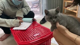 Tạm biệt bé ALN xám xanh vào SG _ "em lại được đi máy bay đấy nhé!"