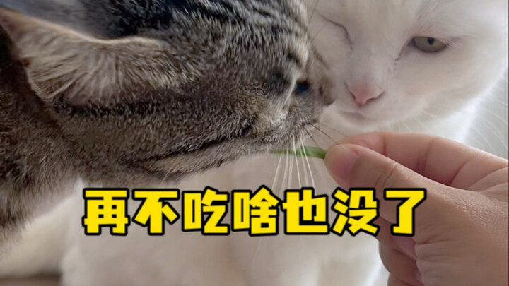 إذا ما أكلت الآن، فلن يتبقَّ شيء!