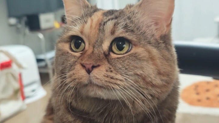 แม่ชอบคิดว่าฉันกินข้าวแล้วก็ไม่หิวอีก แบบนี้มันผิดนะ