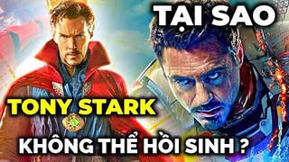 Tại sao các AVENGERS không sử dụng TIME STONE để hồi sinh TONY STARK ? - Âm mưu của DR.STRANGE