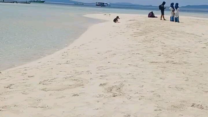 Pantai