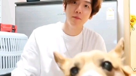 【Biên Bách Hiền】Không khí dần mất kiểm soát, Bách Hiền: Mộng Long ơi, nghe lời anh đi (╥﹏╥)