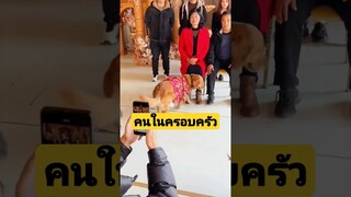 *ดูคลิปเต็มลิงค์ข้างบน* คนในครอบครัวเหมือนกันนะ #funny #awesome #reels #รวมคลิปตลก