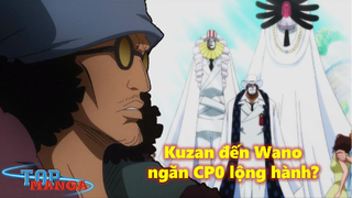 Kuzan đến Wano ngăn CP0 lộng hành? Giải cứu Robin & 3 tấm hồng phiến Poneglygh!