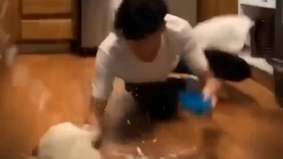ngeduetin konten cookie🗿