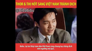 THOR _ THỊ NỐT SANG VIỆT NAM TRÁNH ĐẠI DỊCH #funny