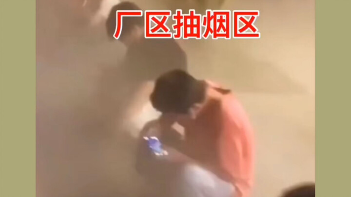 The factory smoking area: a favorite spot for escape artists!