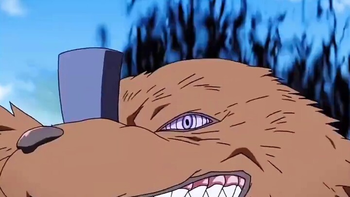 As expected, when it comes to oppression, you have to look at Brother Shisui, you are so full of pre