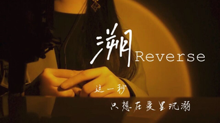 《溯Reverse》你听过这样温柔的版本吗？✨女声翻唱