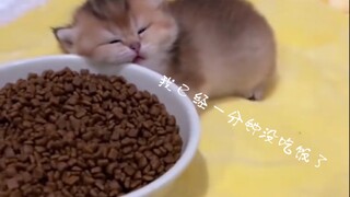 嘛嘛  我已经一分钟没吃饭了  马上就要嘎啦！~ ！