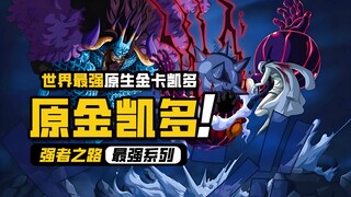 One Piece: The Road to Power [Hero Kinkaidoh] How strong is the world's number one single player?