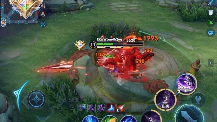 ตราประจำตัวมาเฉาในอาชีพของหวังเจี้ยนซิ่ง