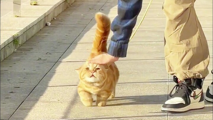 ไม่ใช่นะ น่ารักขนาดนี้อยากเอาชีวิตฉันเหรอ?