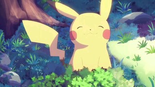 Wild Pikachu