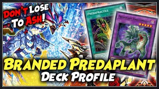 Branded Predaplant Deck Profile + Combo Tutorial! | July 2022 | Yu-Gi-Oh!