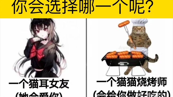 “Which one would you choose?” Silly, meme, and naughty joke series #14