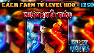 ROBLOX | CÁCH FARM TỪ LEVEL 1100 - 1250 KHÔNG MẤT MÁU TRONG BLOX PIECE | NOOB POWER