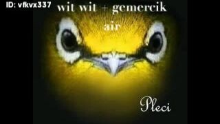 terapi air burung pleci