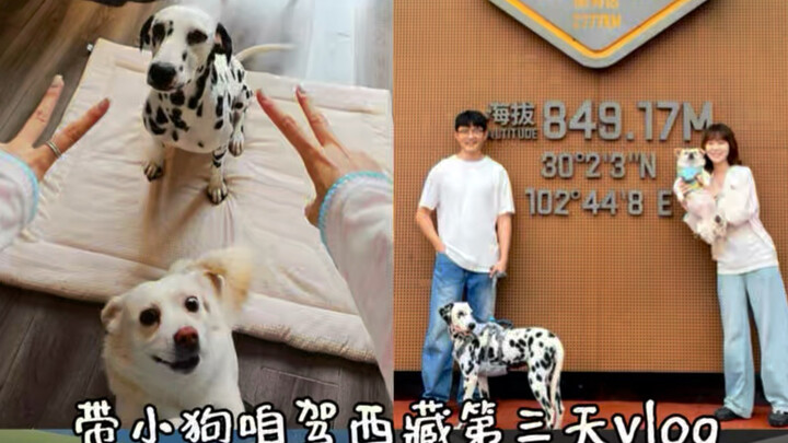 Day 3 of a Self-Drive Trip to Tibet with My Puppy (Chengdu–Yajiang–Daocheng Yading)