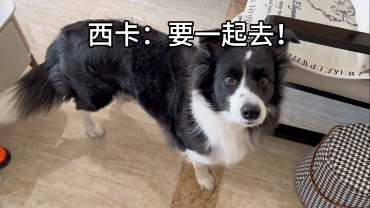 Whether we can go out together is such an important matter.