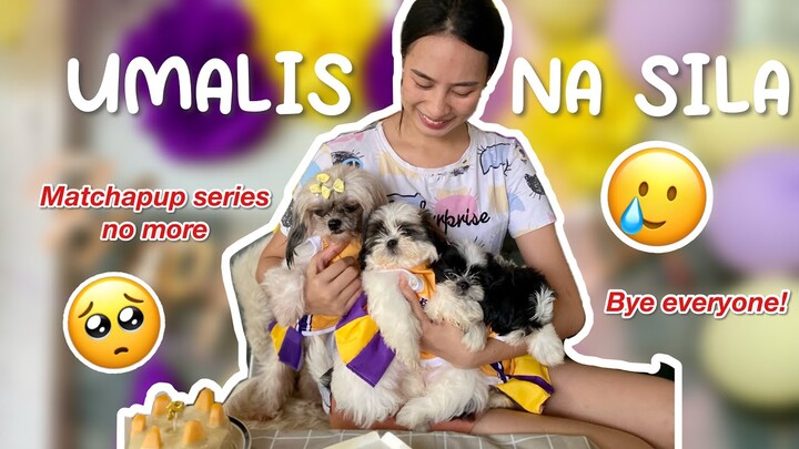 NAKAALIS NA SILA … | REHOMING NG MATCHAPUPS ..