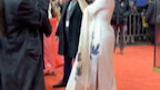 【Fan Bingbing】A Berlin Chronicle in the Gentle Drizzle