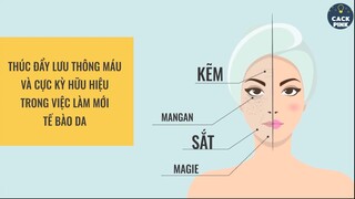 Điều Gì Sẽ Xảy Ra Nếu Bạn Ăn Yến Mạch Mỗi Ngày