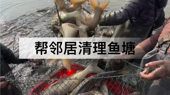 I heard the neighbors are draining their fish pond—not to split the fish, but because we’re just so 