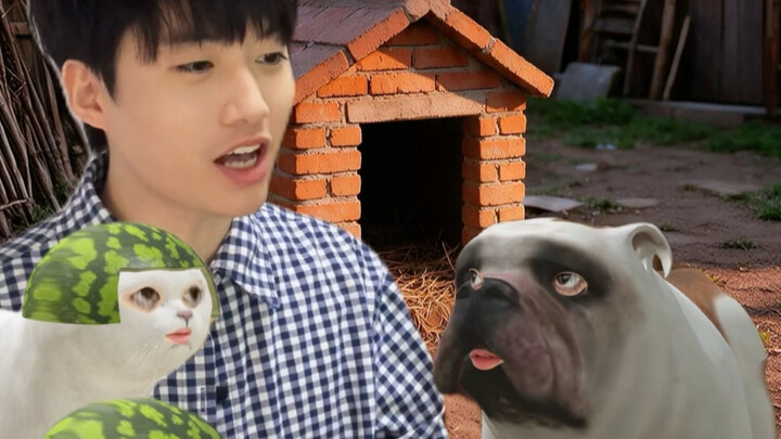 Episode Ketiga: Anjing Kota dan Anjing Desa Menukar Kehidupan Mereka