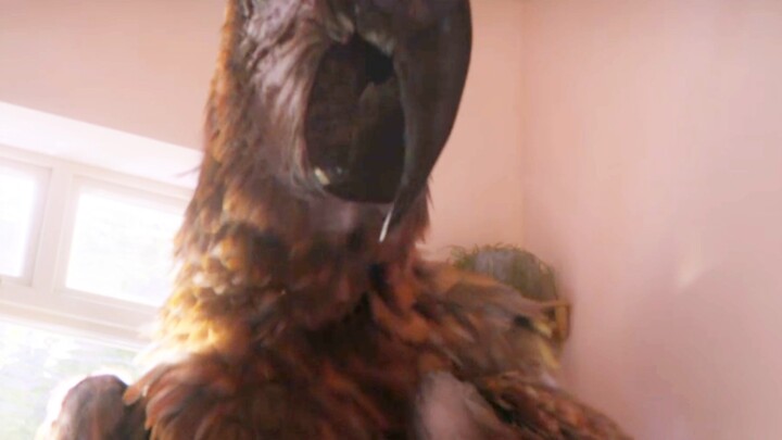 This Parrot Is Actually the Living, Breathing BLEACH!