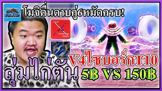 RaceV4สุ่มไก่ตันเผ่าV4ไซบอร์กT10แตก - Blox Fruits 📹