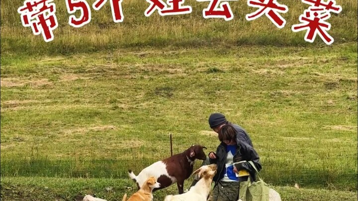 What a truly exhilarating grocery shopping experience!