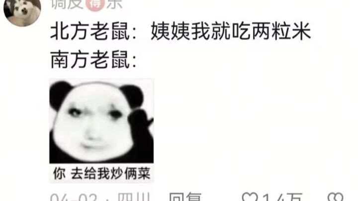 Kalau tikus di selatan semuanya kayak gini, aku nggak masalah kalau ada beberapa ekor di rumah.