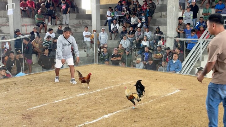 2 Hits Ulutan @Double D Cockpit - WW🏆