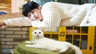 Meow, the Secret Boy (2020) - Episode 12