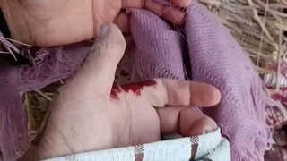 Biểu diễn múa tay có tốt không?